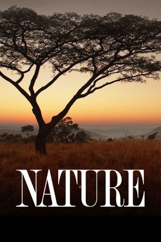 Poster di Nature