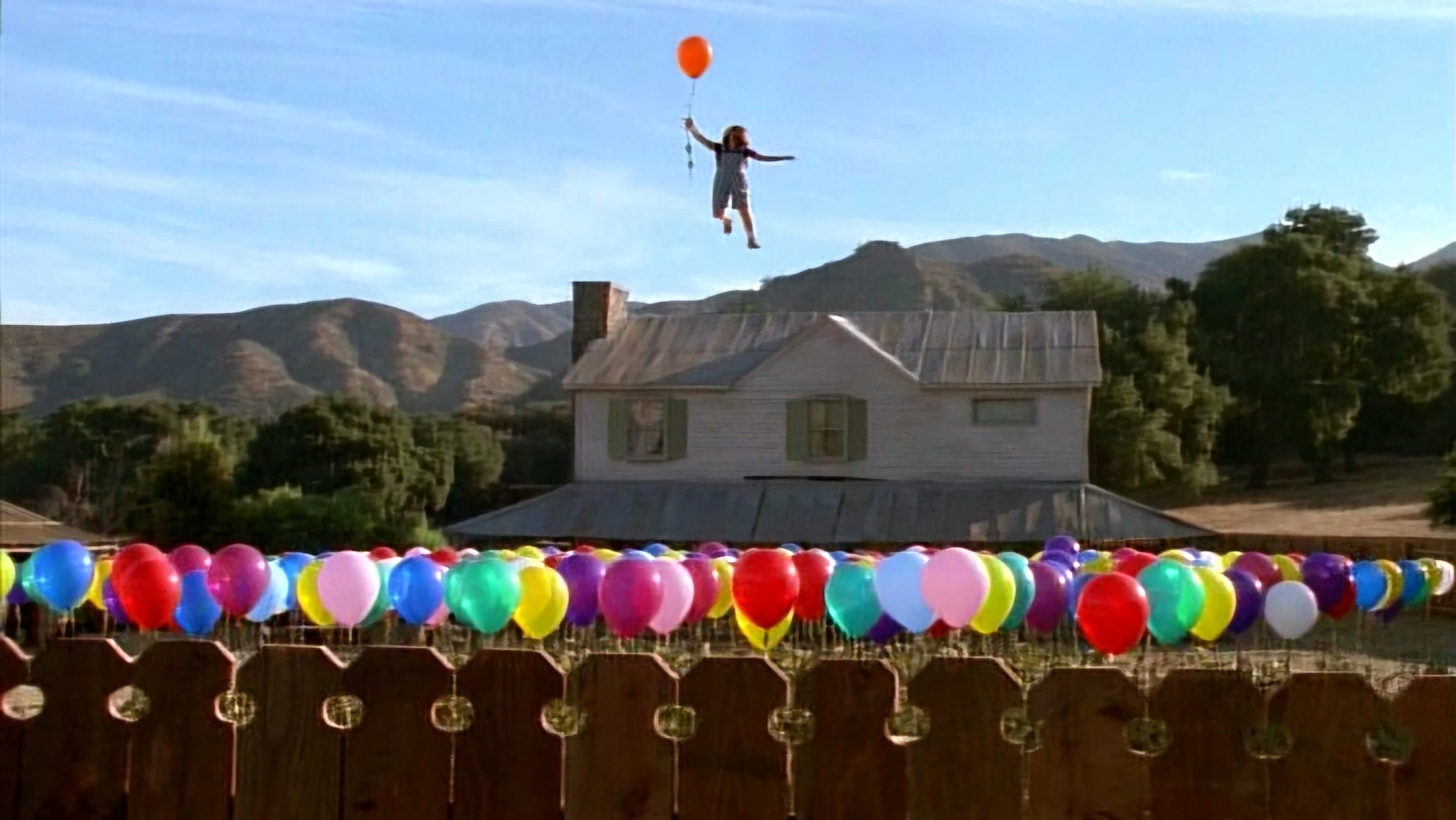 Balloon Farm - immagine