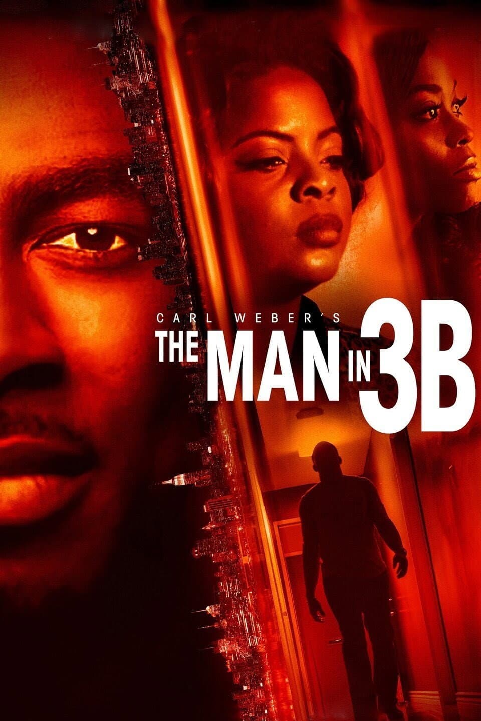 Poster di The Man in 3B