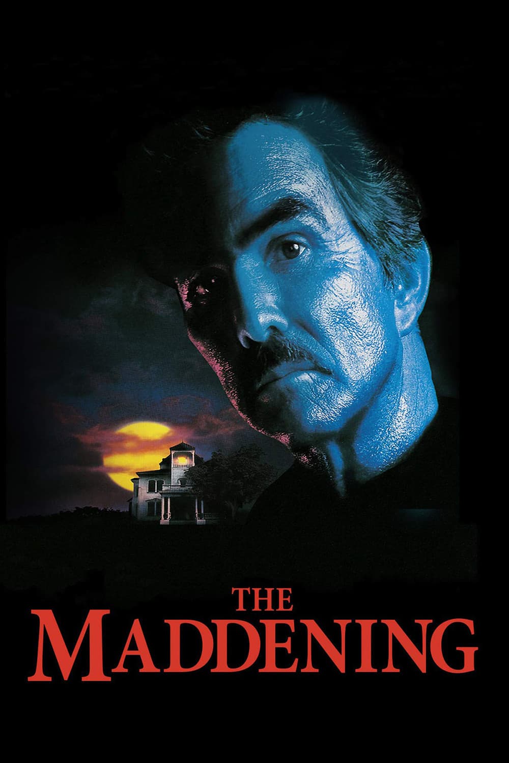 Poster di Inganno diabolico