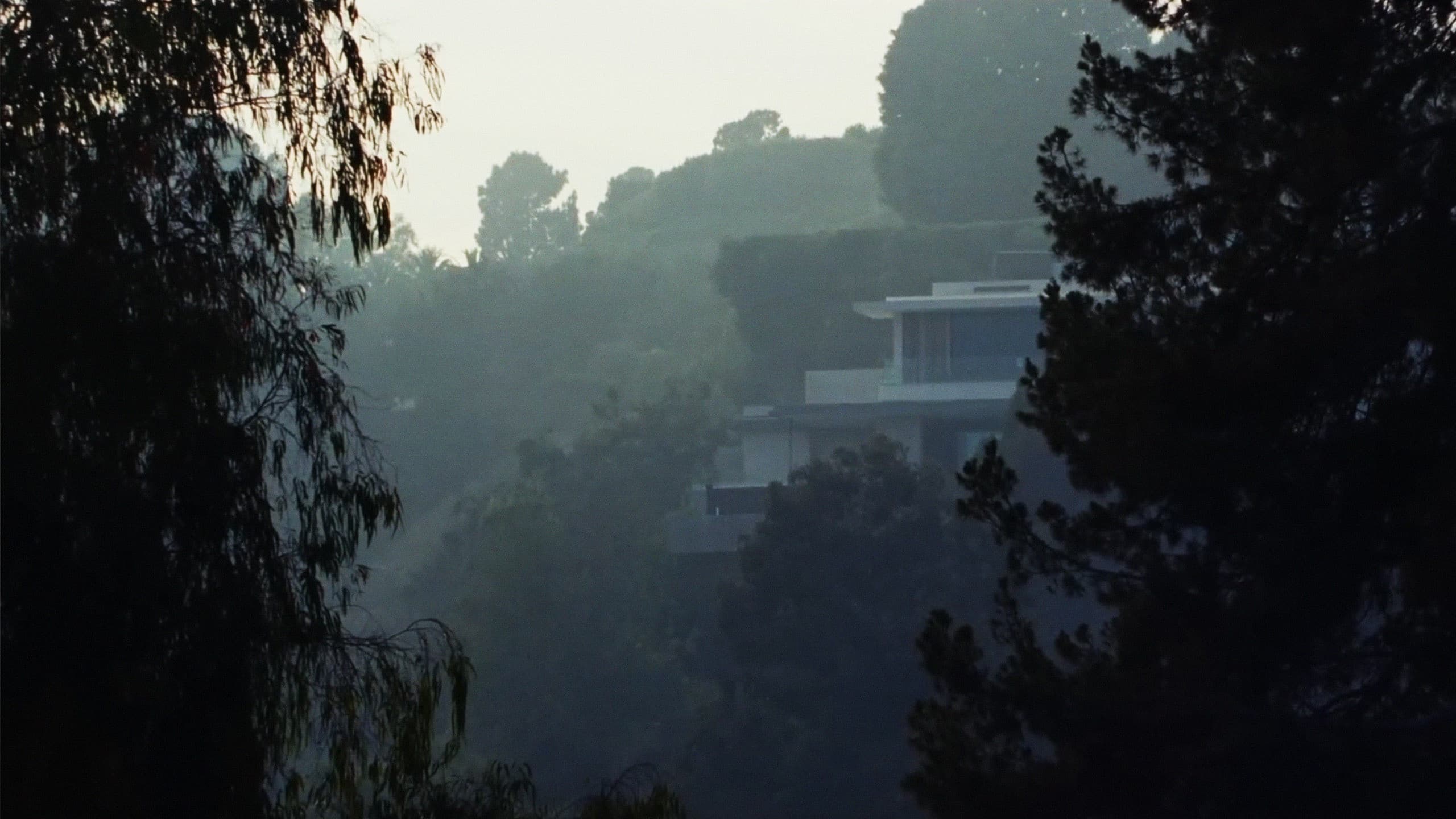 The Weeknd - Double Fantasy - immagine