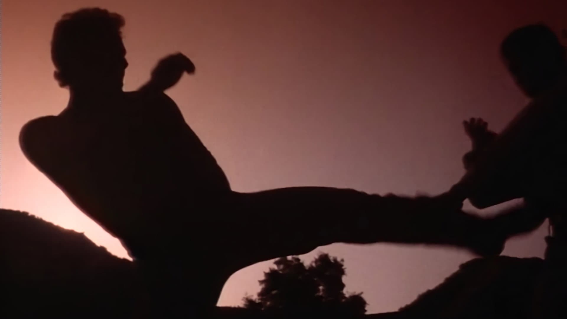 Savate - immagine