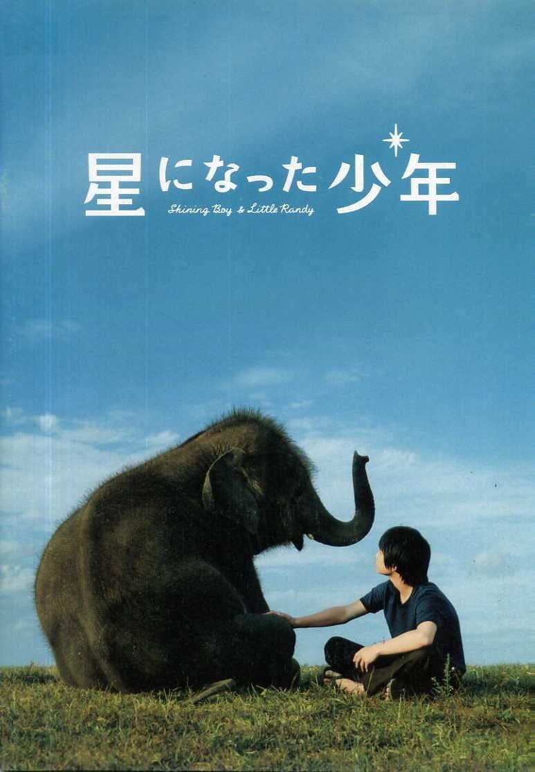 Poster di 星になった少年