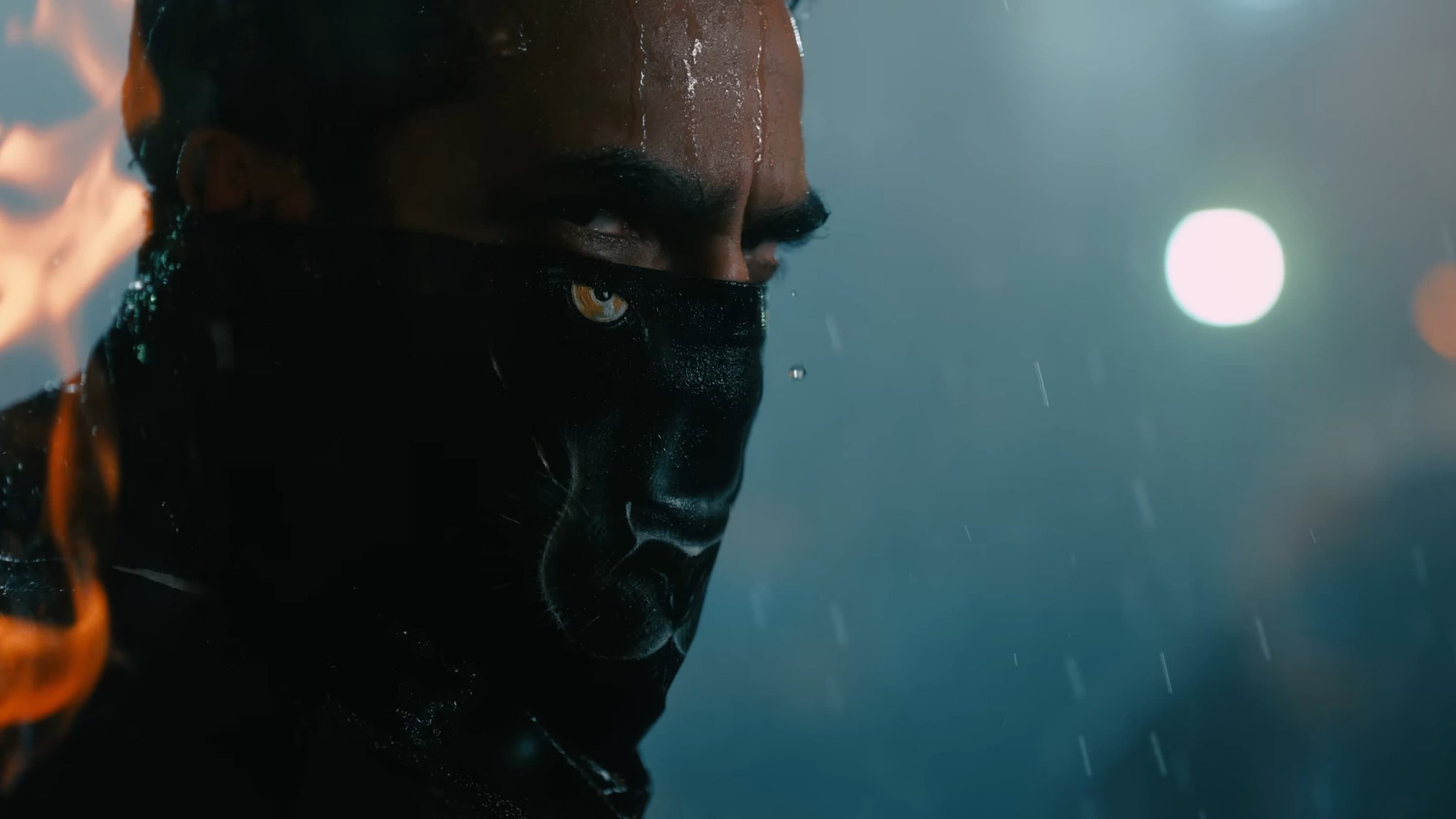 Bagheera - immagine