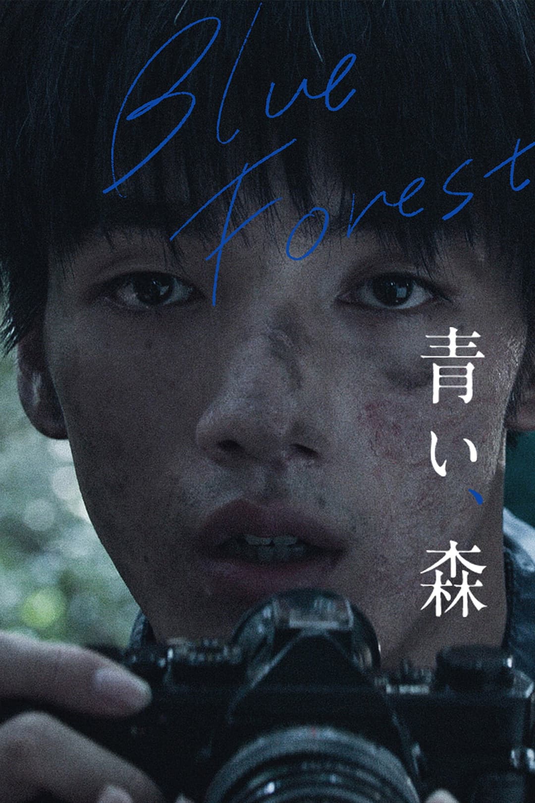 Poster di 青い、森