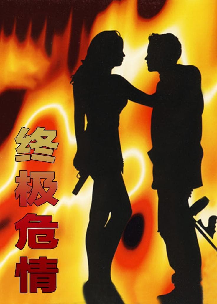 Poster di Final Target