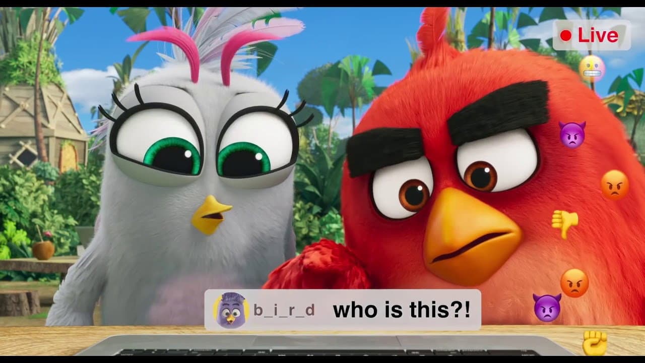 Angry Birds: Live Stream - immagine