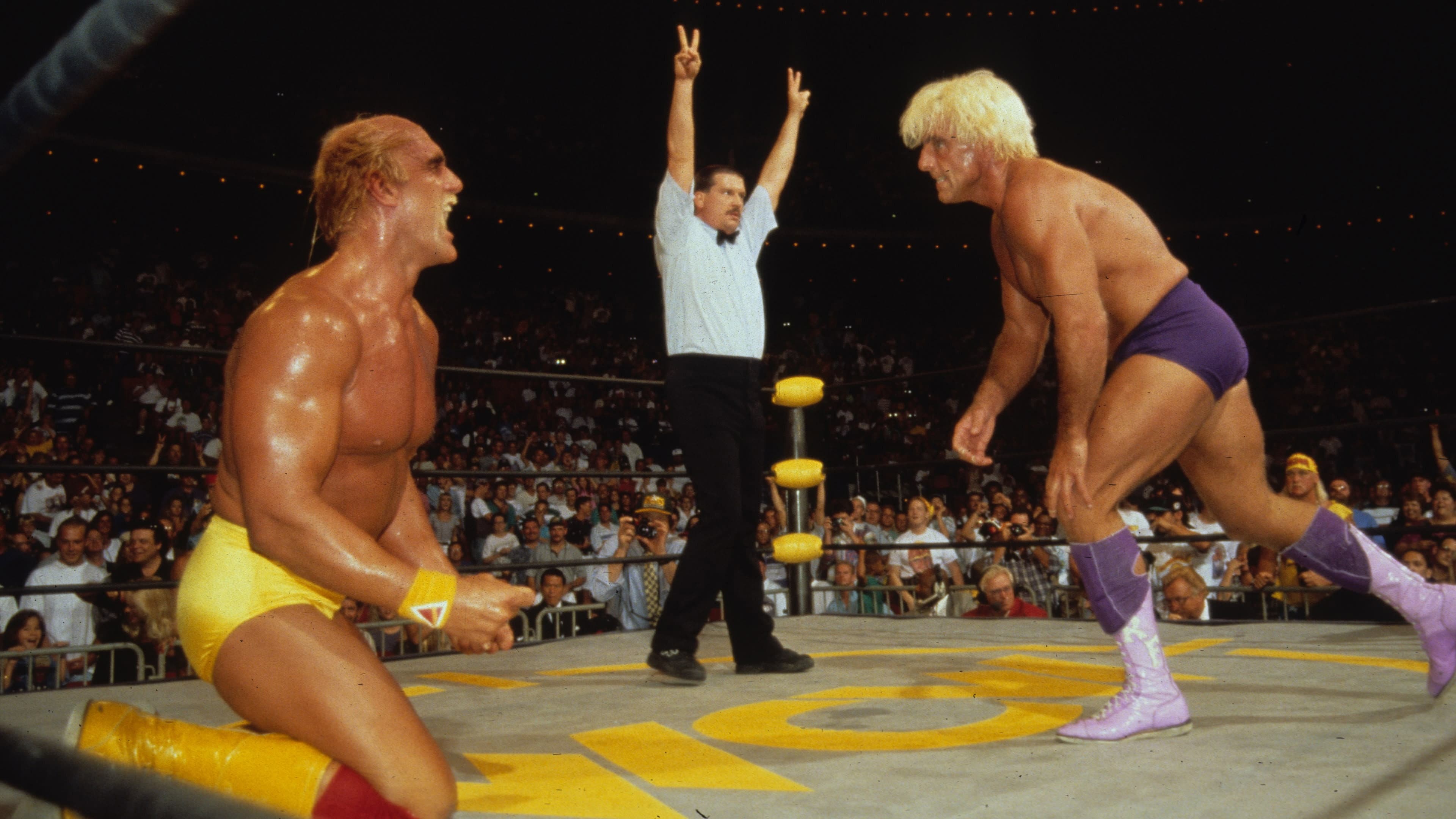WCW Bash at the Beach 1994 - immagine
