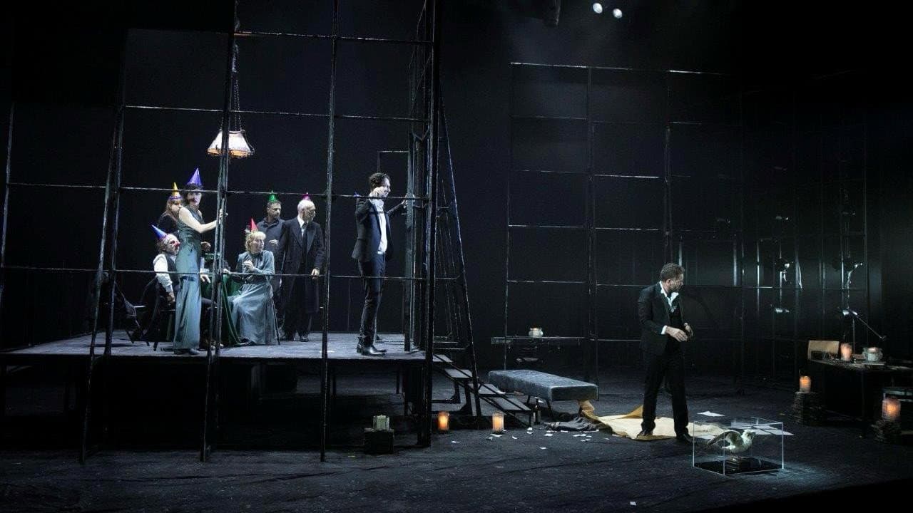 השחף - immagine