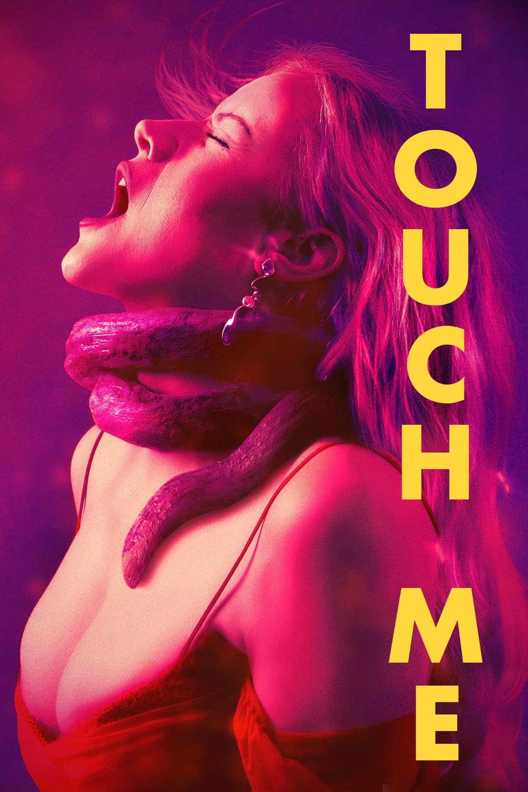 Poster di Touch Me