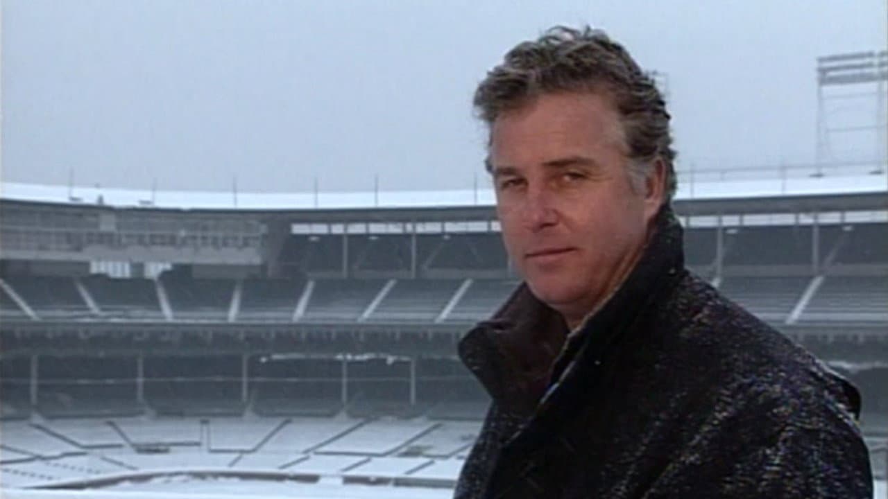 Wrigley Field: Beyond the Ivy - immagine