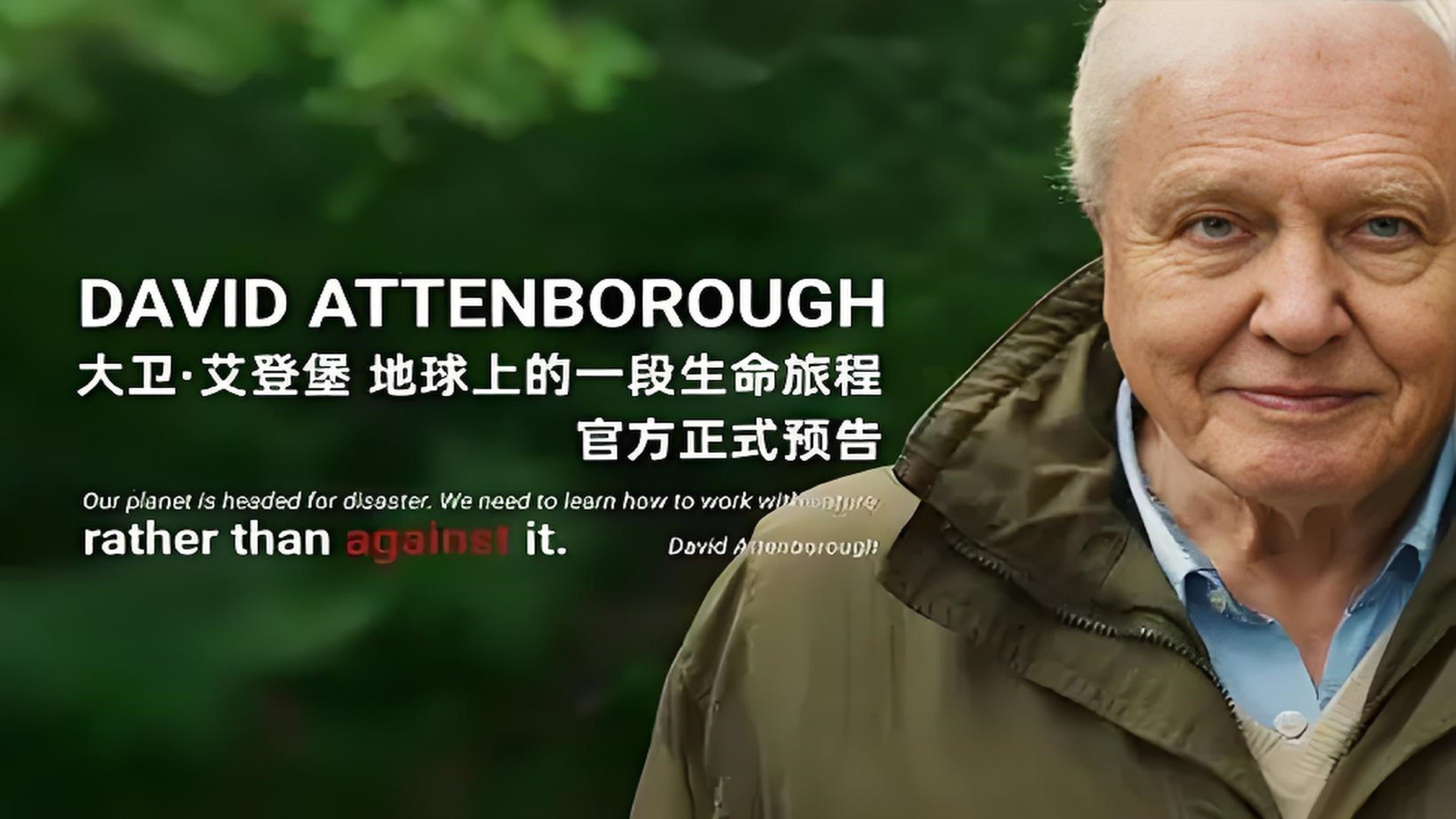 David Attenborough: A Life on Earth - immagine