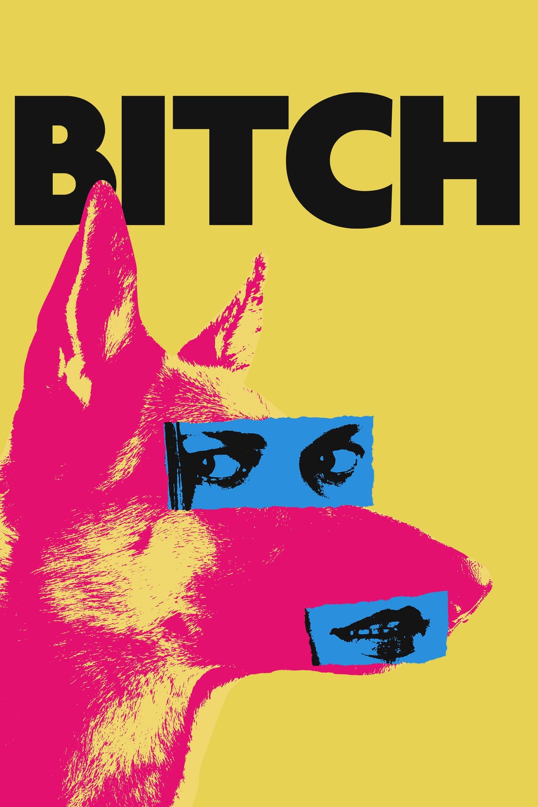 Poster di Bitch