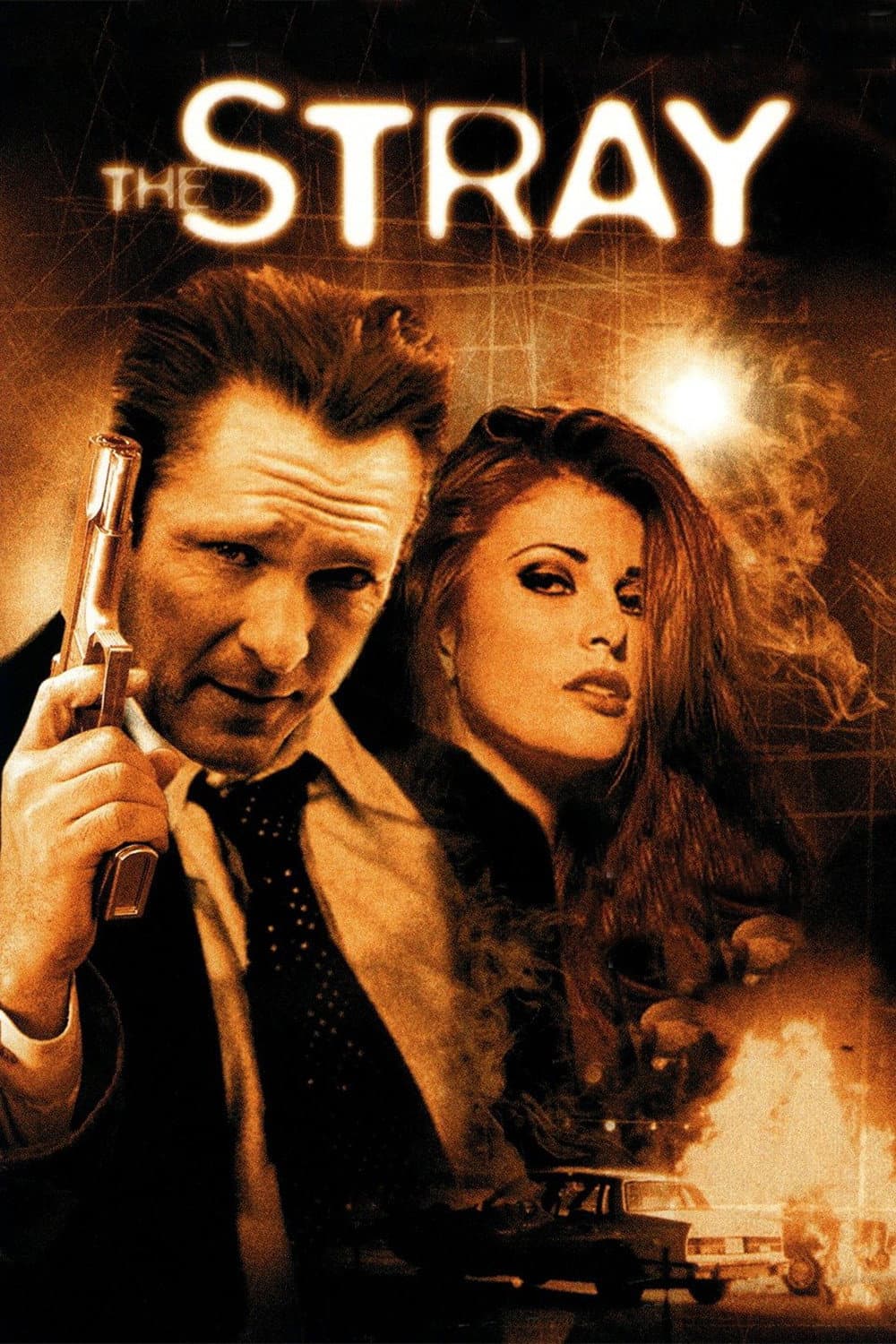 Poster di The Stray