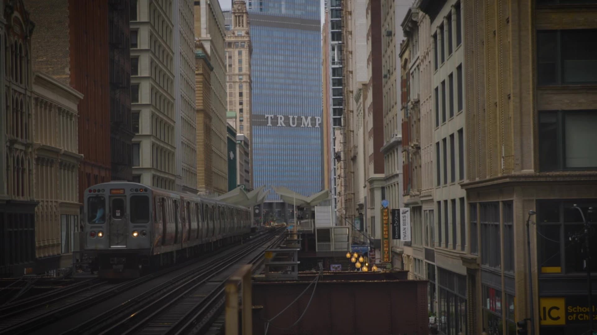 Why Trump? - immagine