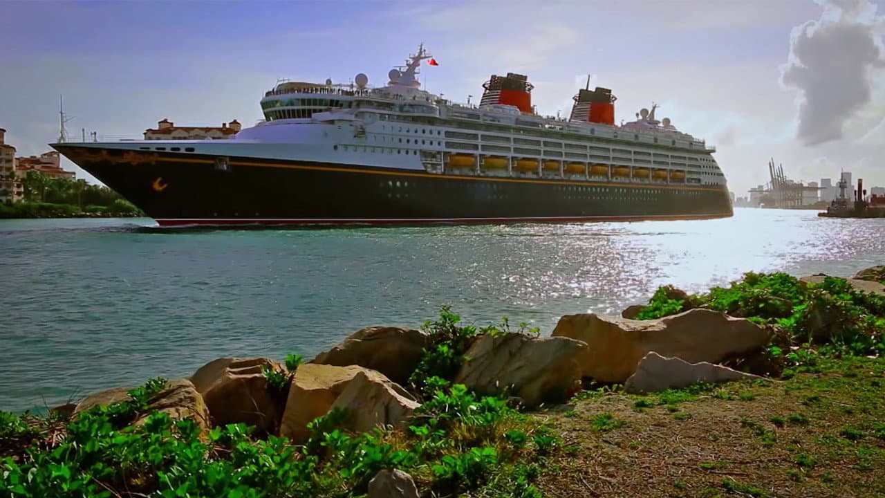 The Wrong Cruise - immagine