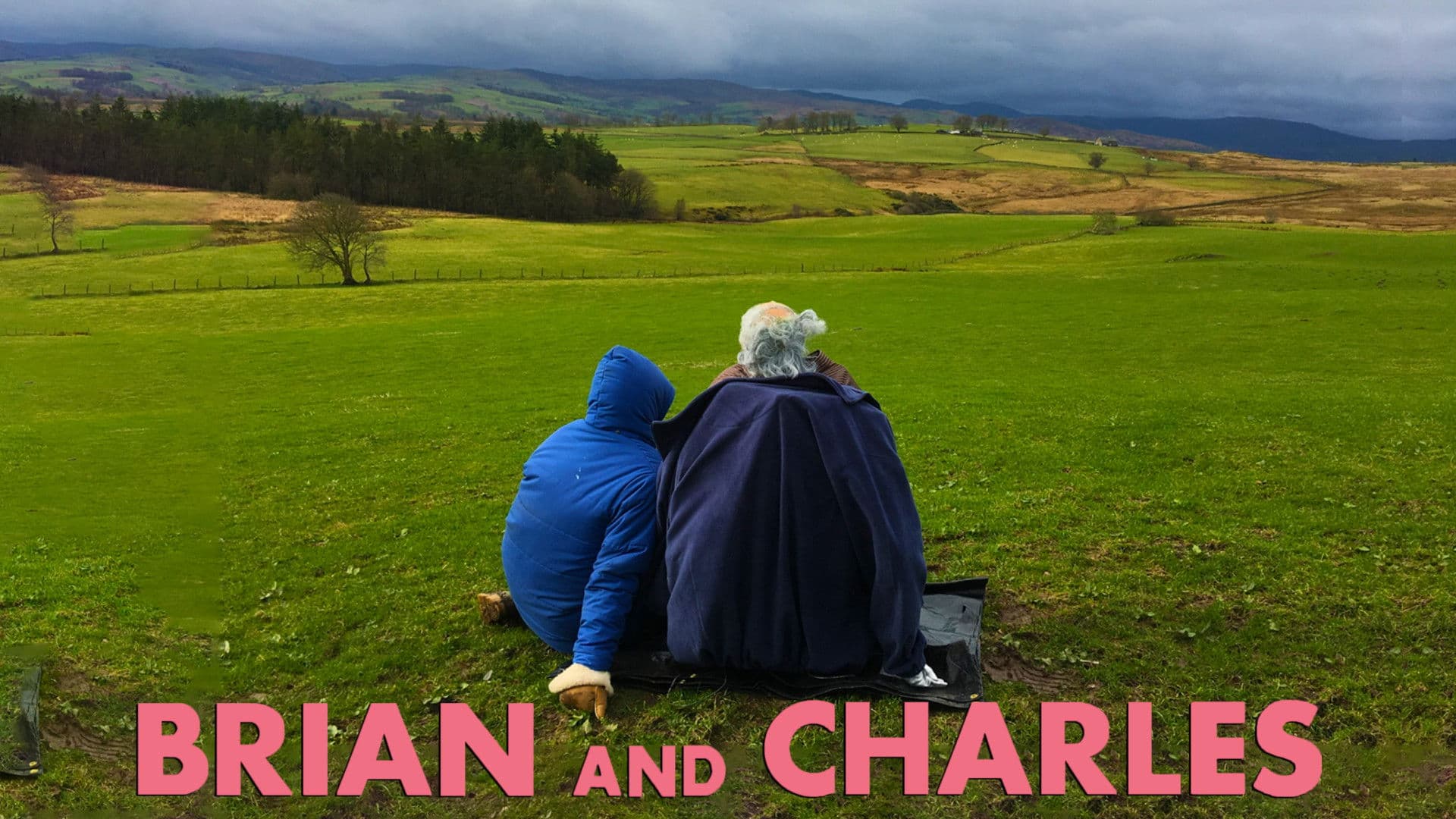 Brian e Charles - immagine