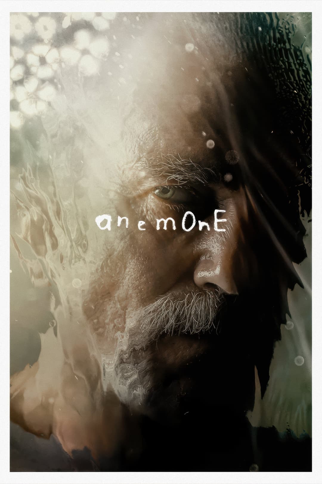 Poster di Anemone