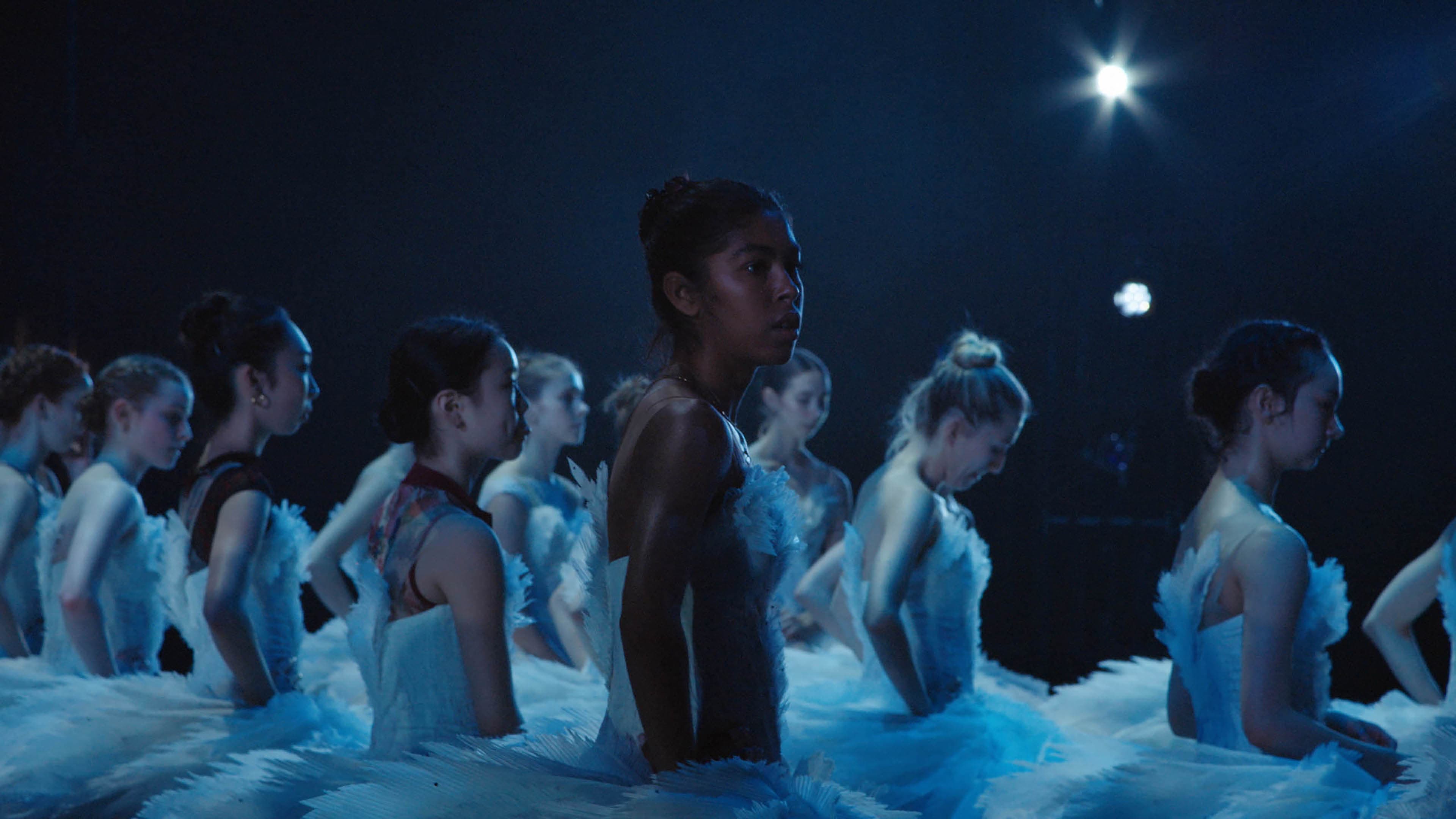 Swan Song - immagine