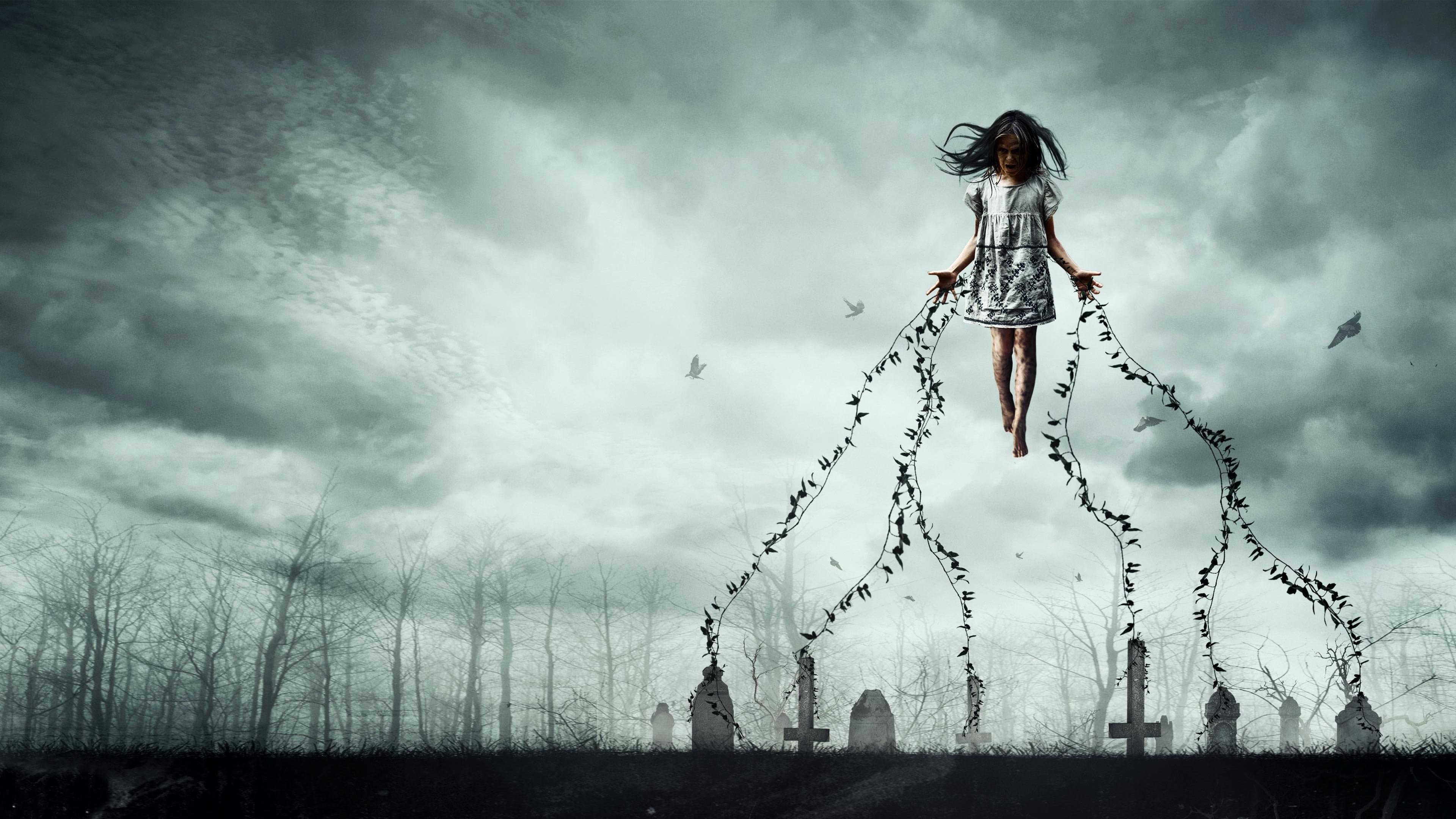 Ghost in the Graveyard - immagine