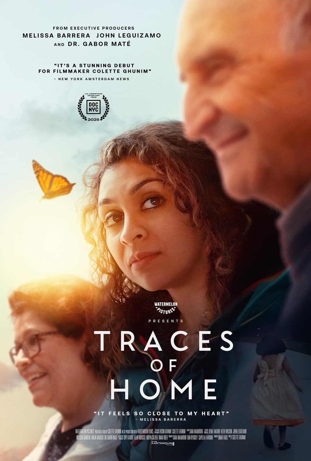 Poster di Traces of Home