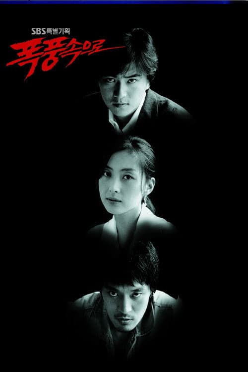 Poster di 폭풍 속으로