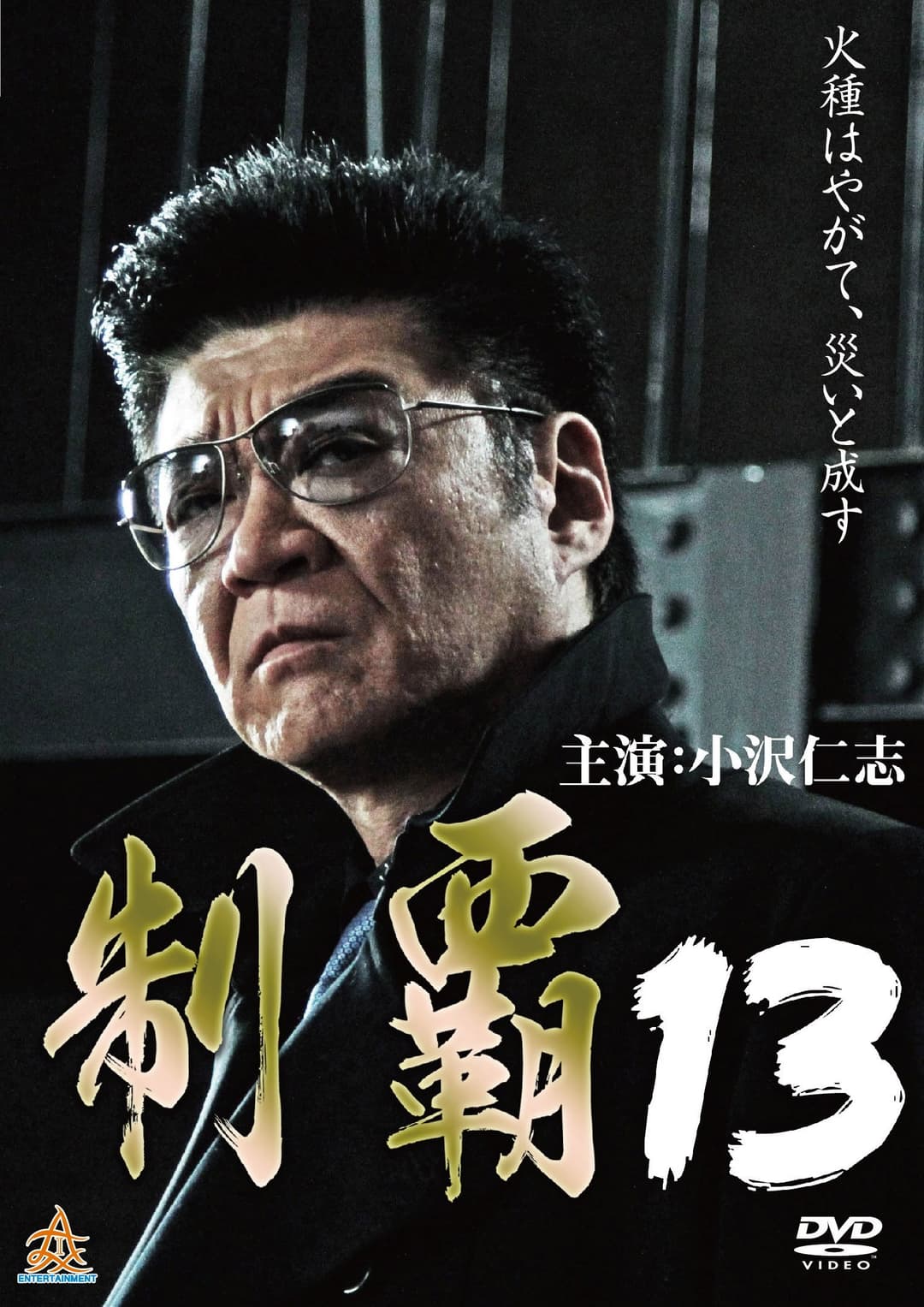 Poster di 制覇１３