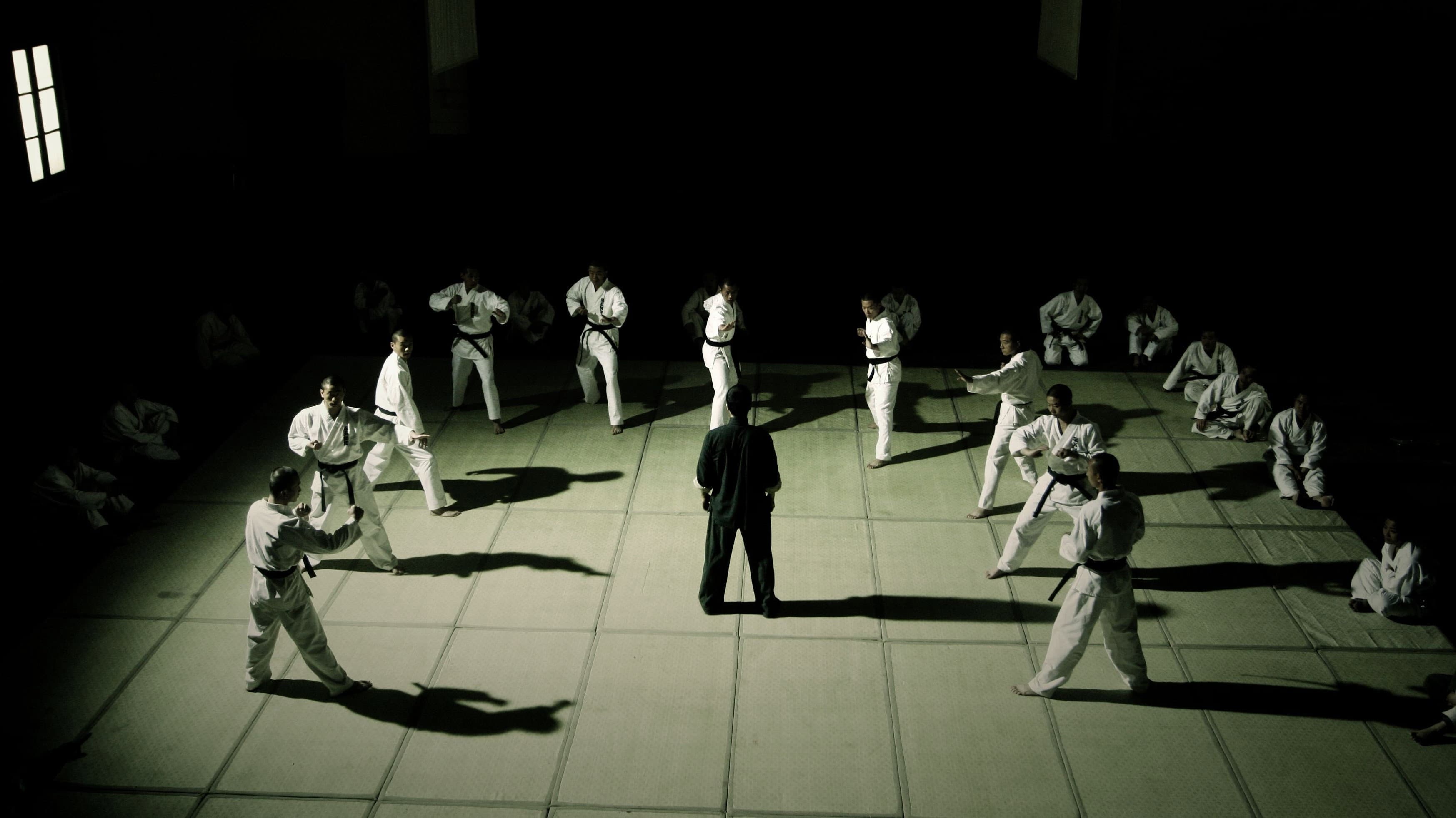 Ip Man - immagine