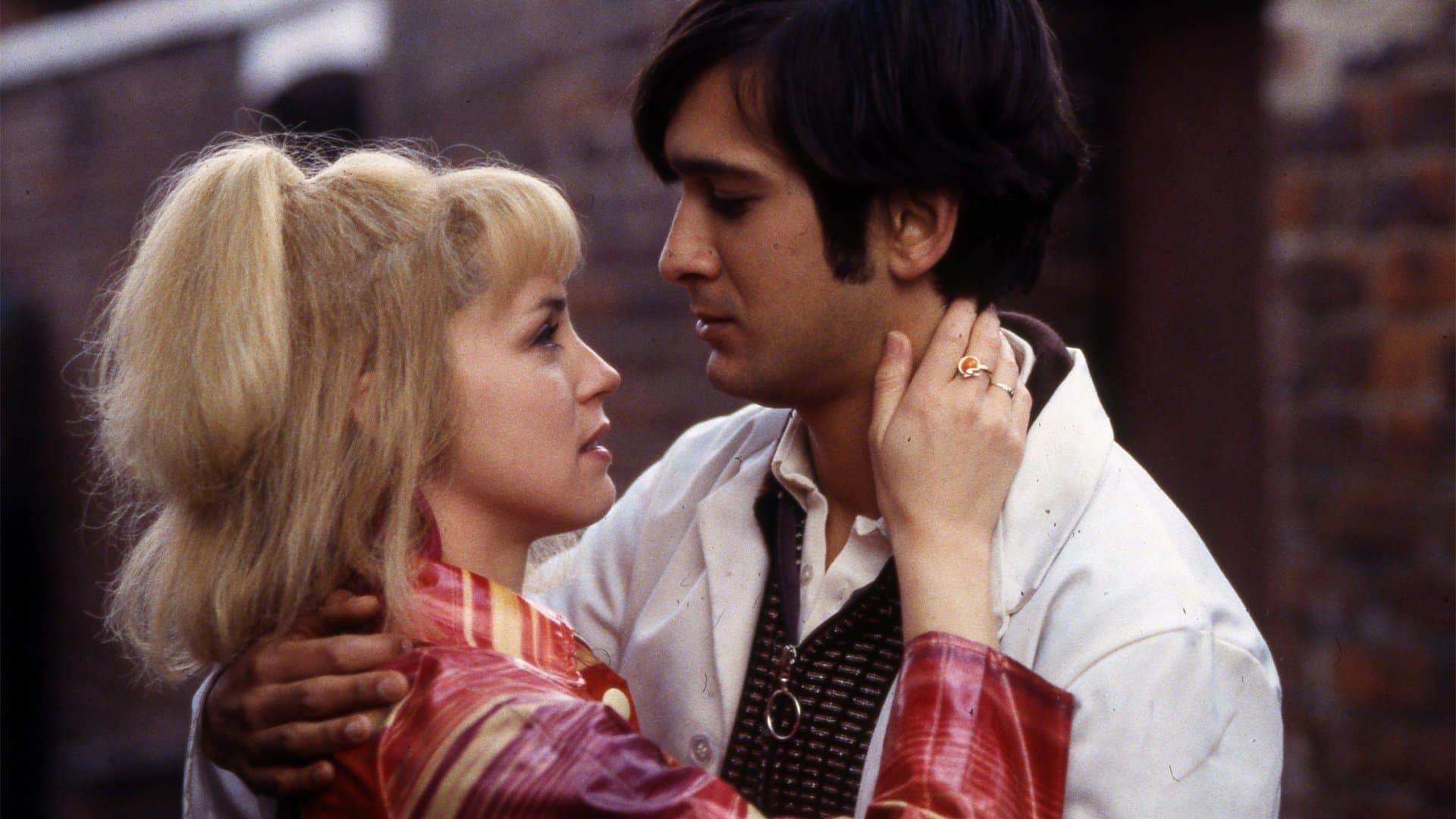 East Is East - immagine
