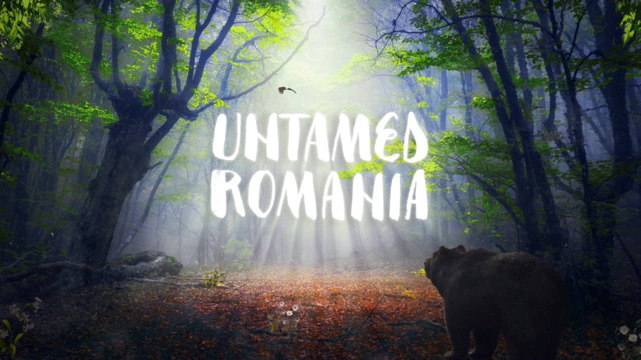 La Romania indomita - immagine