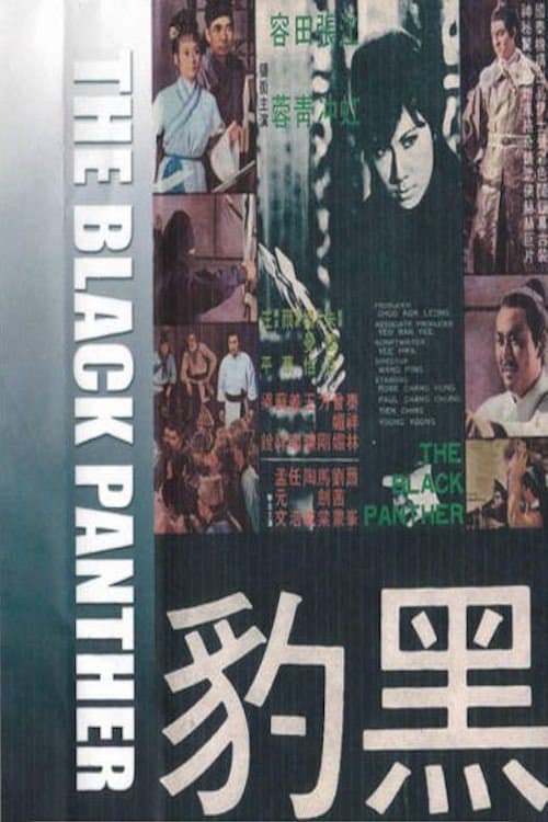 Poster di 黑豹