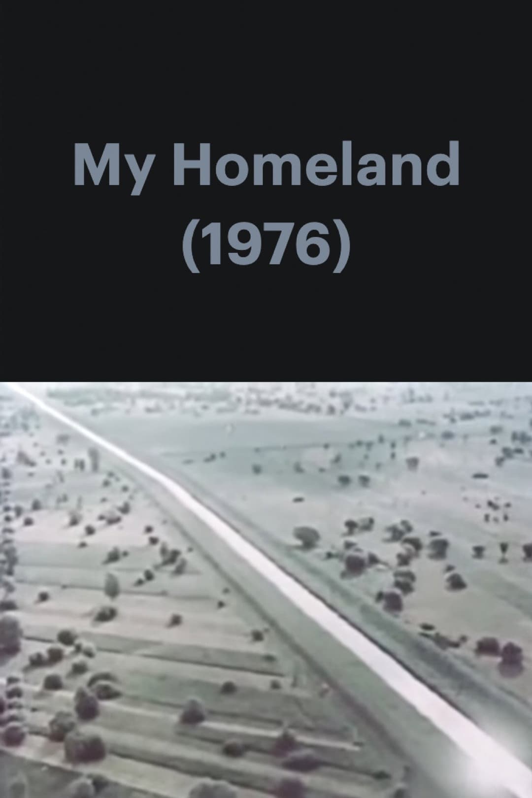 Poster di My Homeland