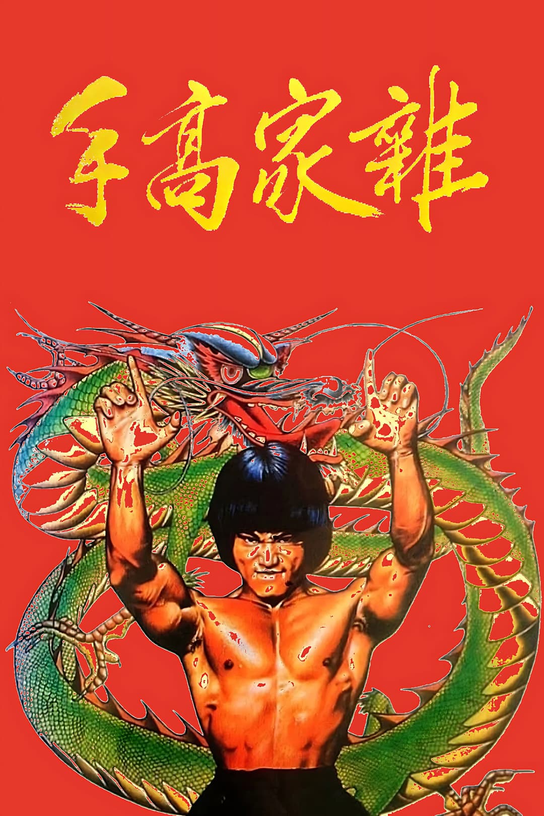 Poster di 雜家高手