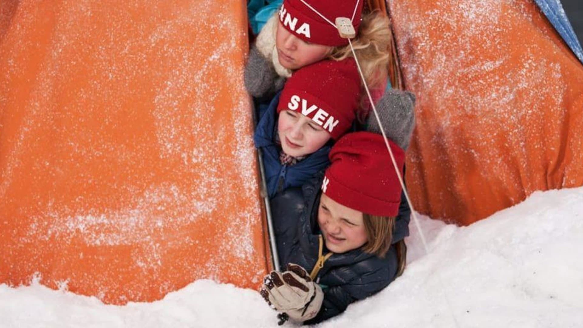 Sune i fjällen - immagine