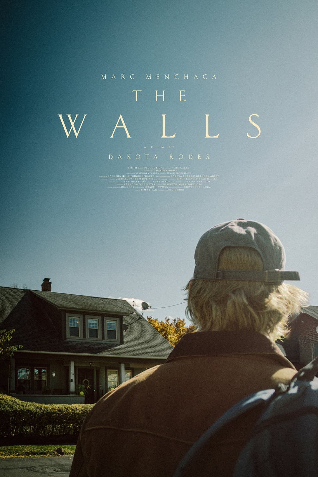 Poster di The Walls