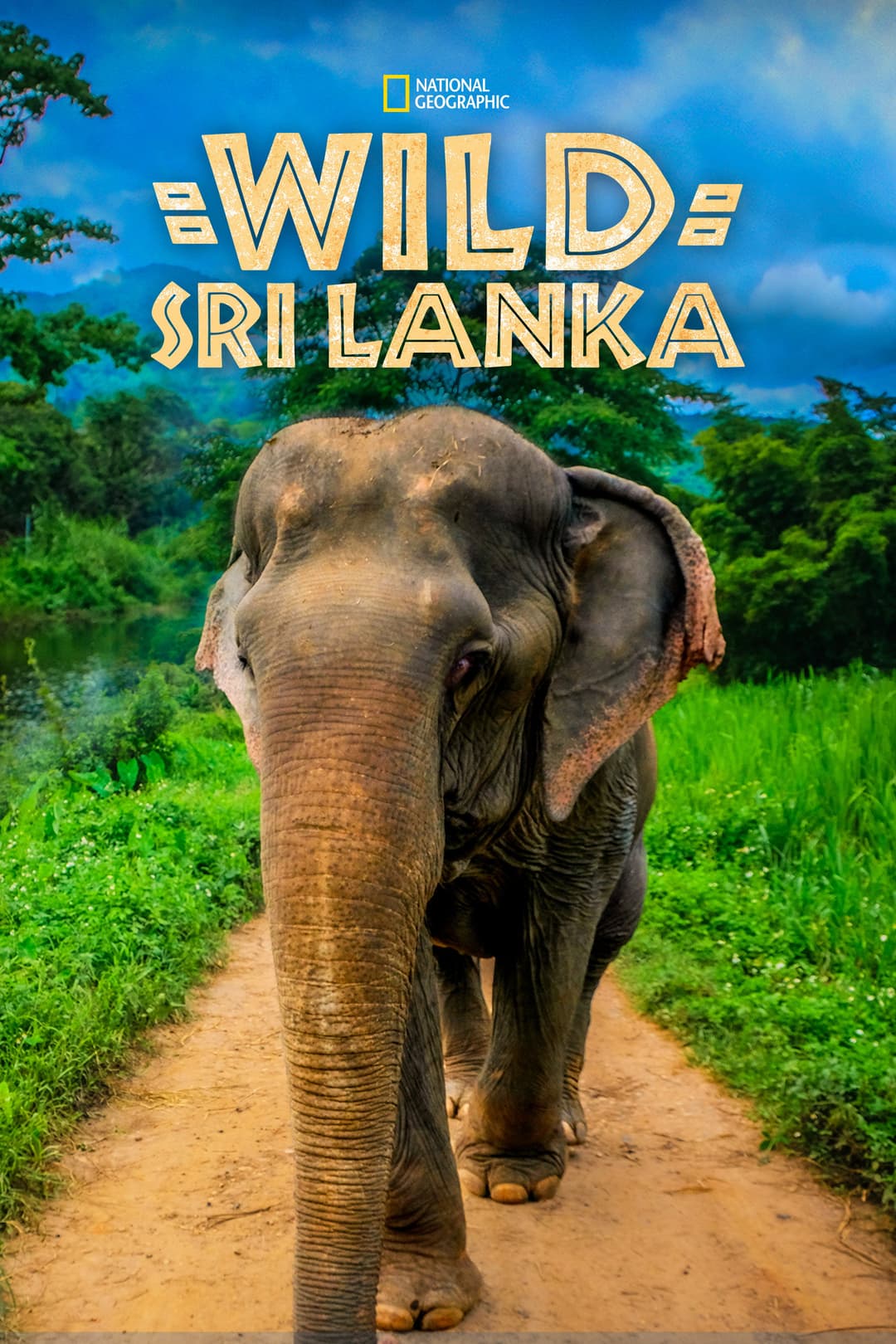 Poster di Wild Sri Lanka