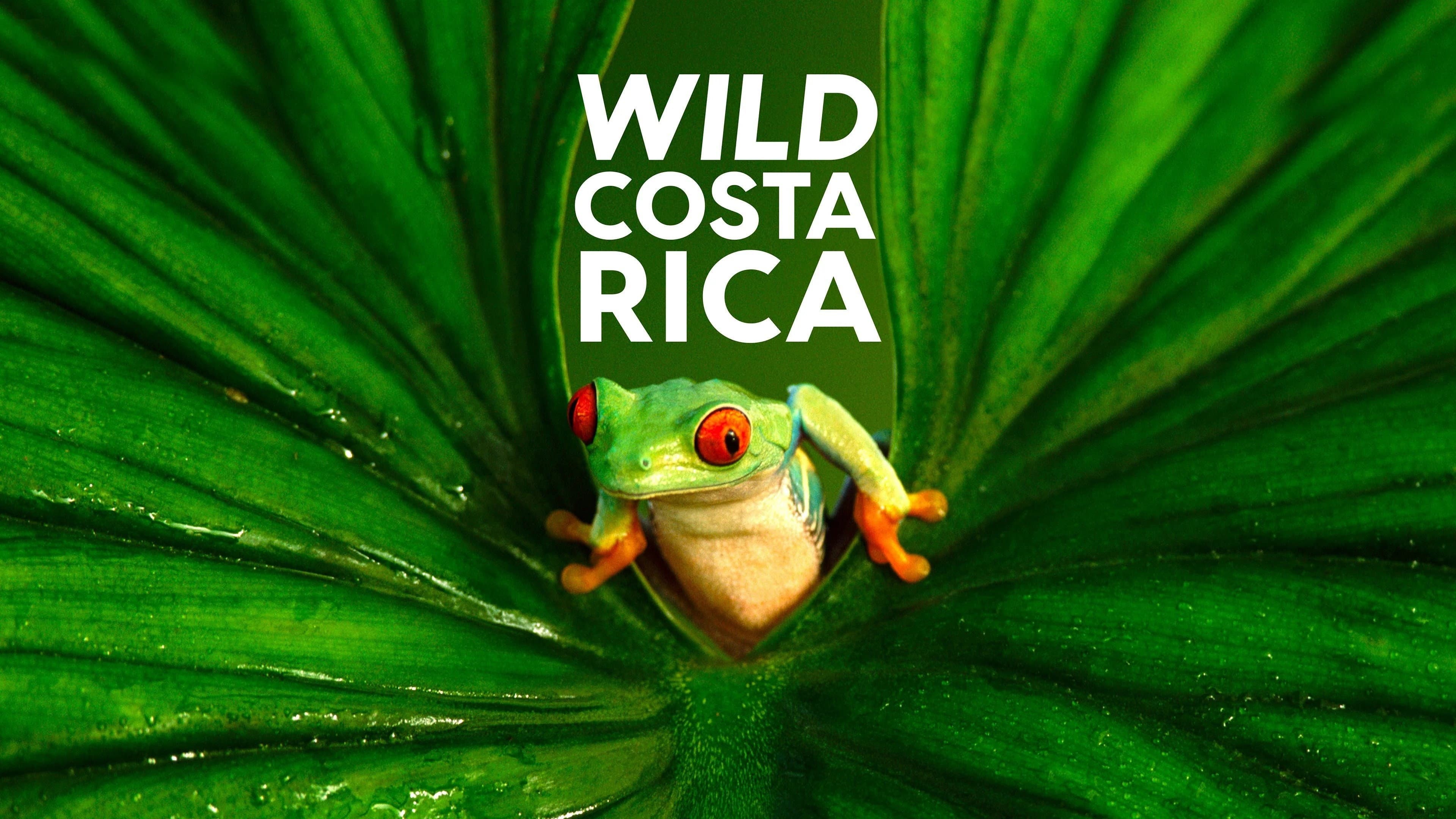 Wild Costa Rica - immagine