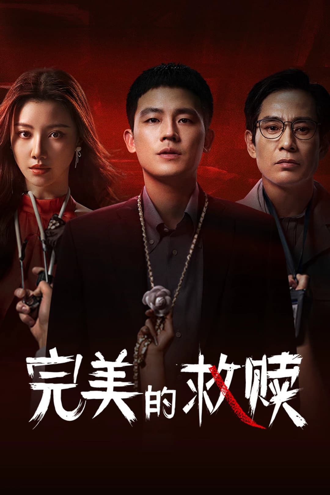 Poster di 完美的救赎