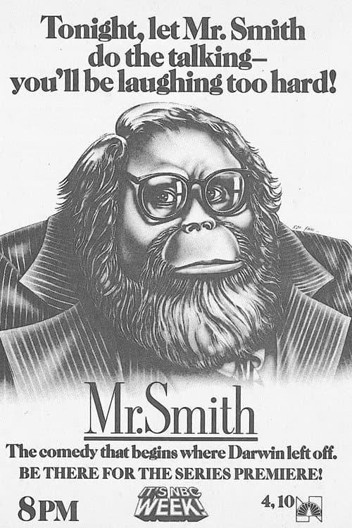 Poster di Mr. Smith