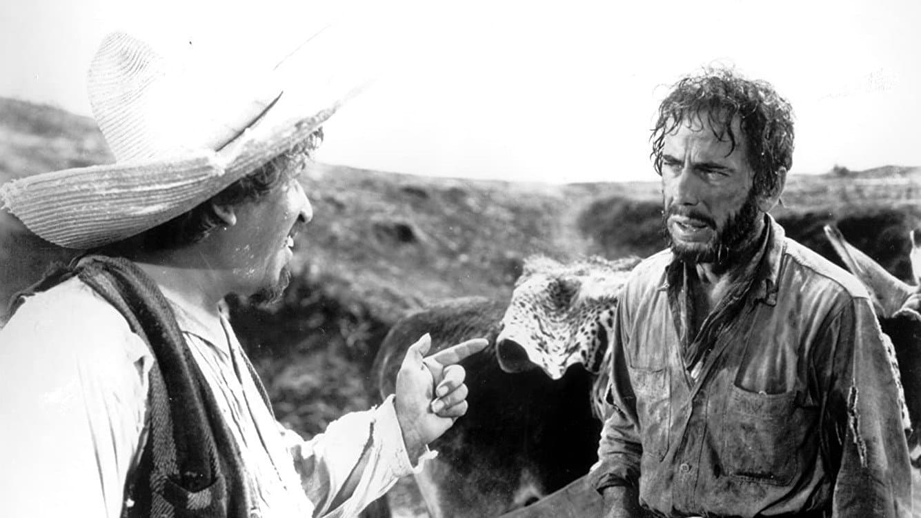 Il tesoro della Sierra Madre - immagine