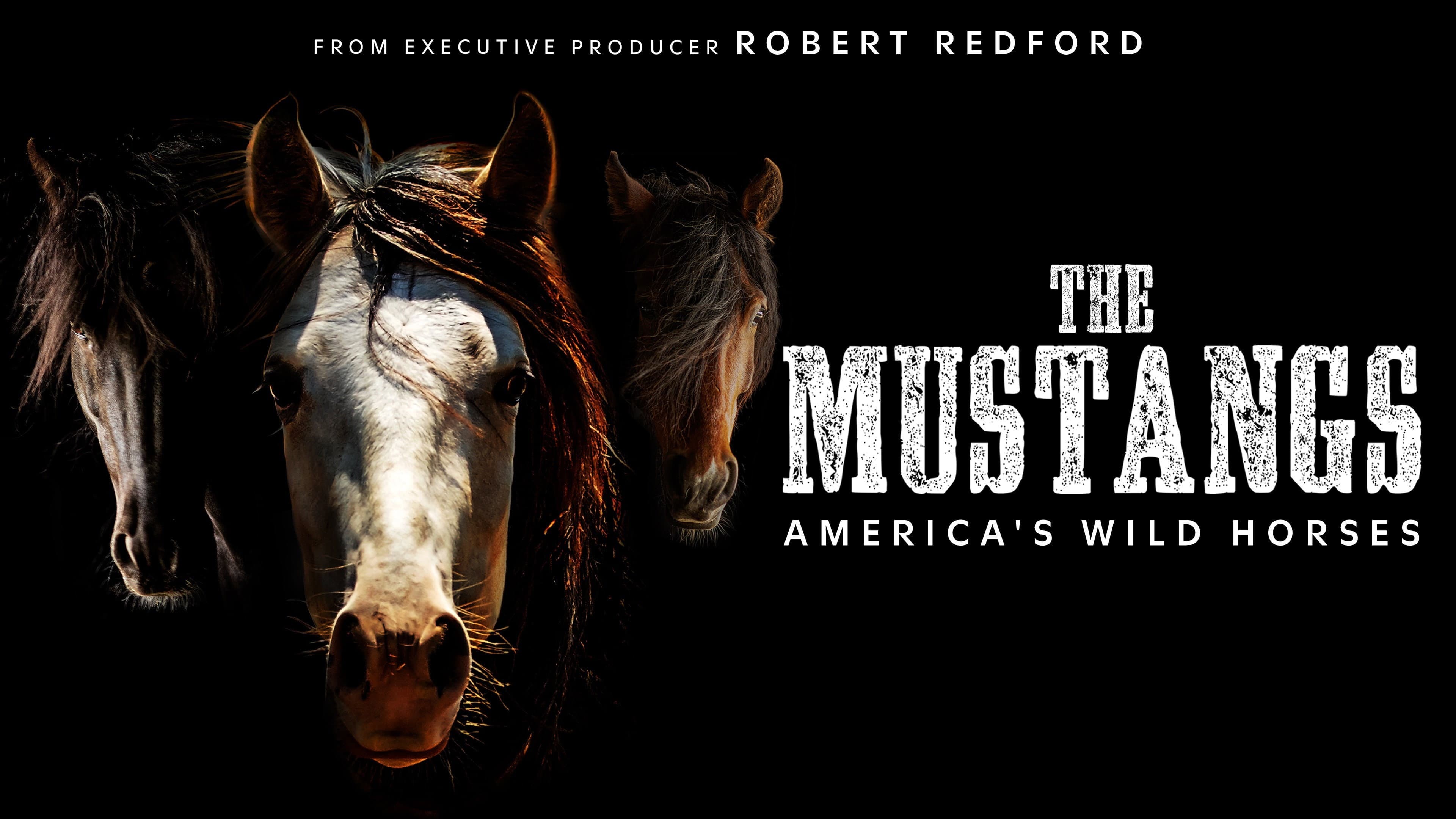 The Mustangs: America's Wild Horses - immagine