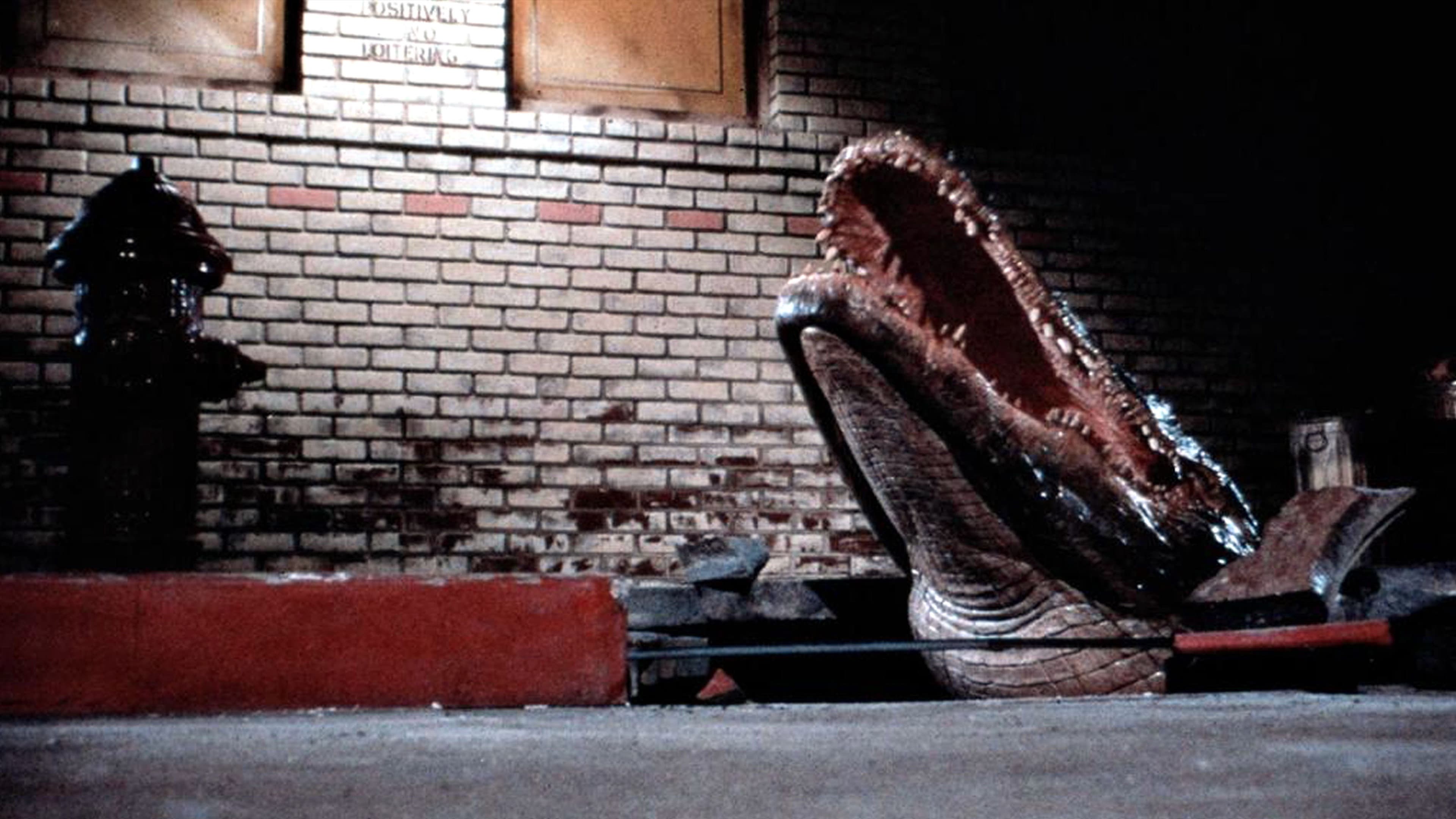 Alligator - immagine