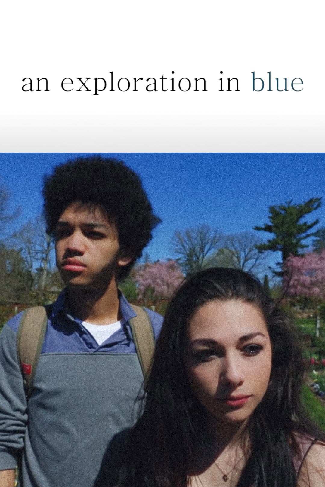 Poster di An Exploration in Blue
