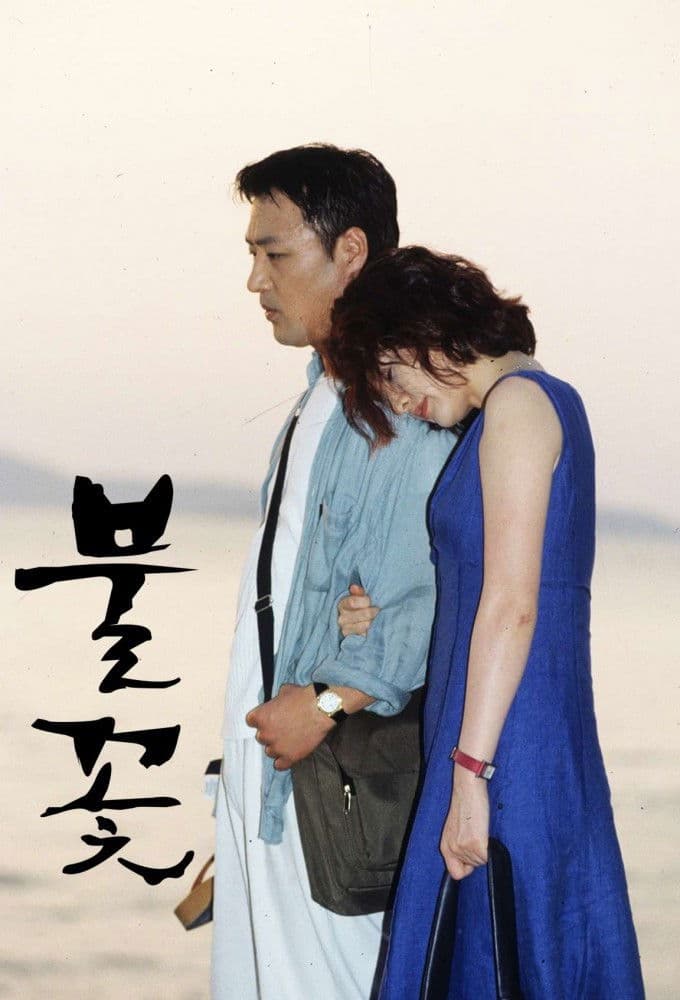 Poster di 불꽃