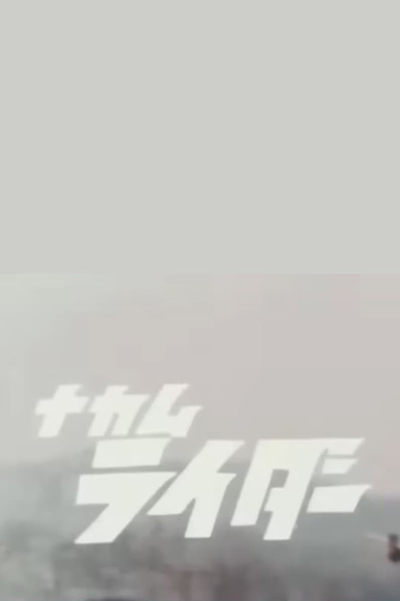 Poster di ナカムライダー