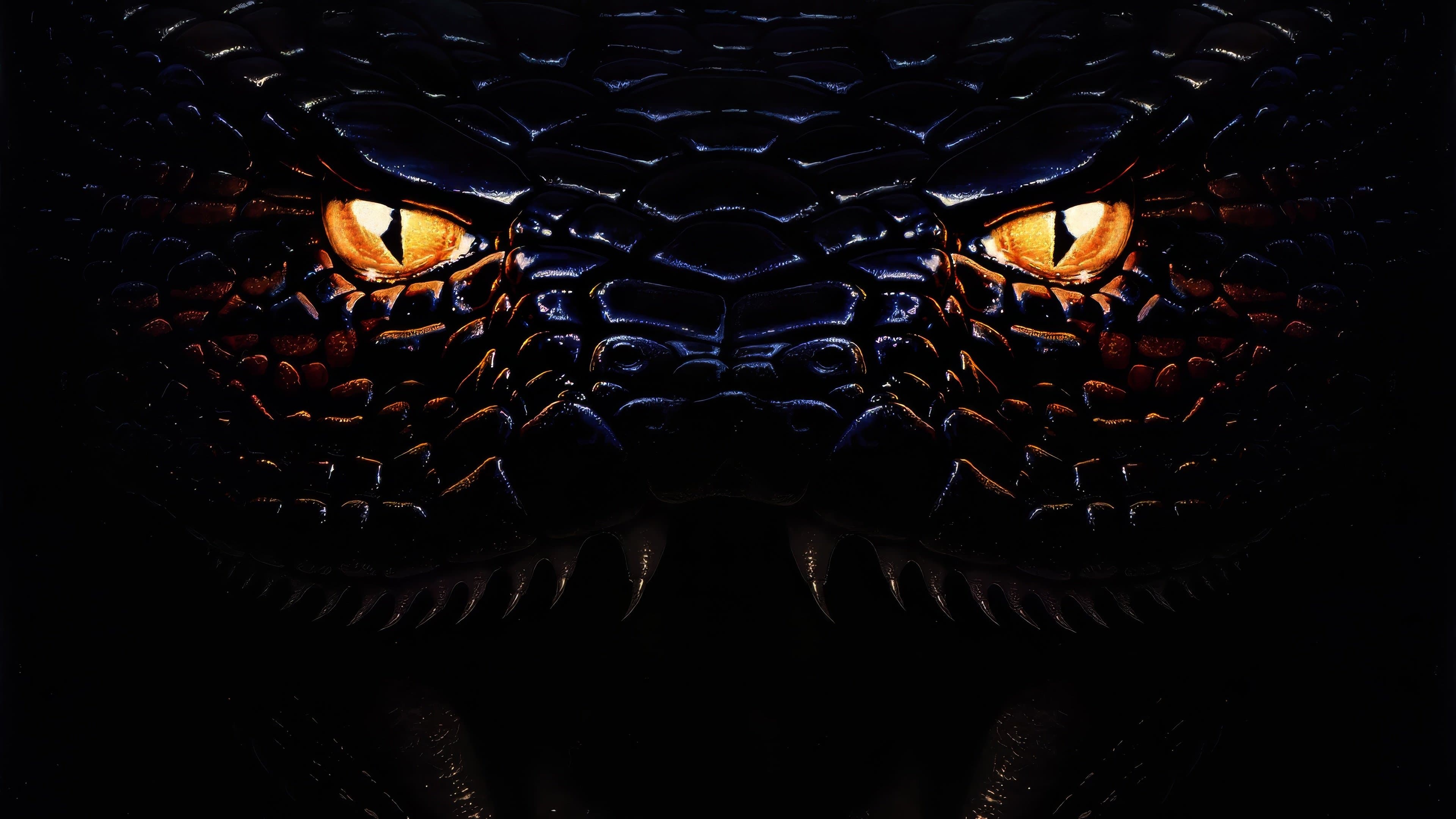 Anaconda - immagine