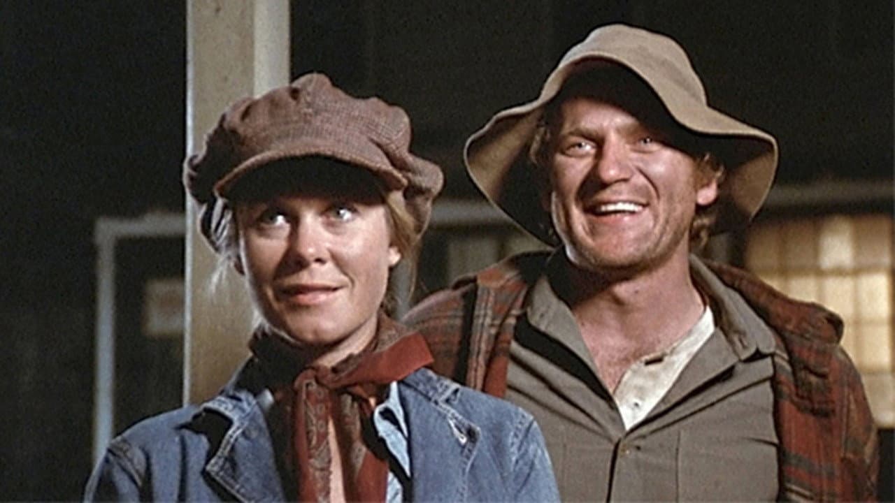 La signora Sundance - immagine