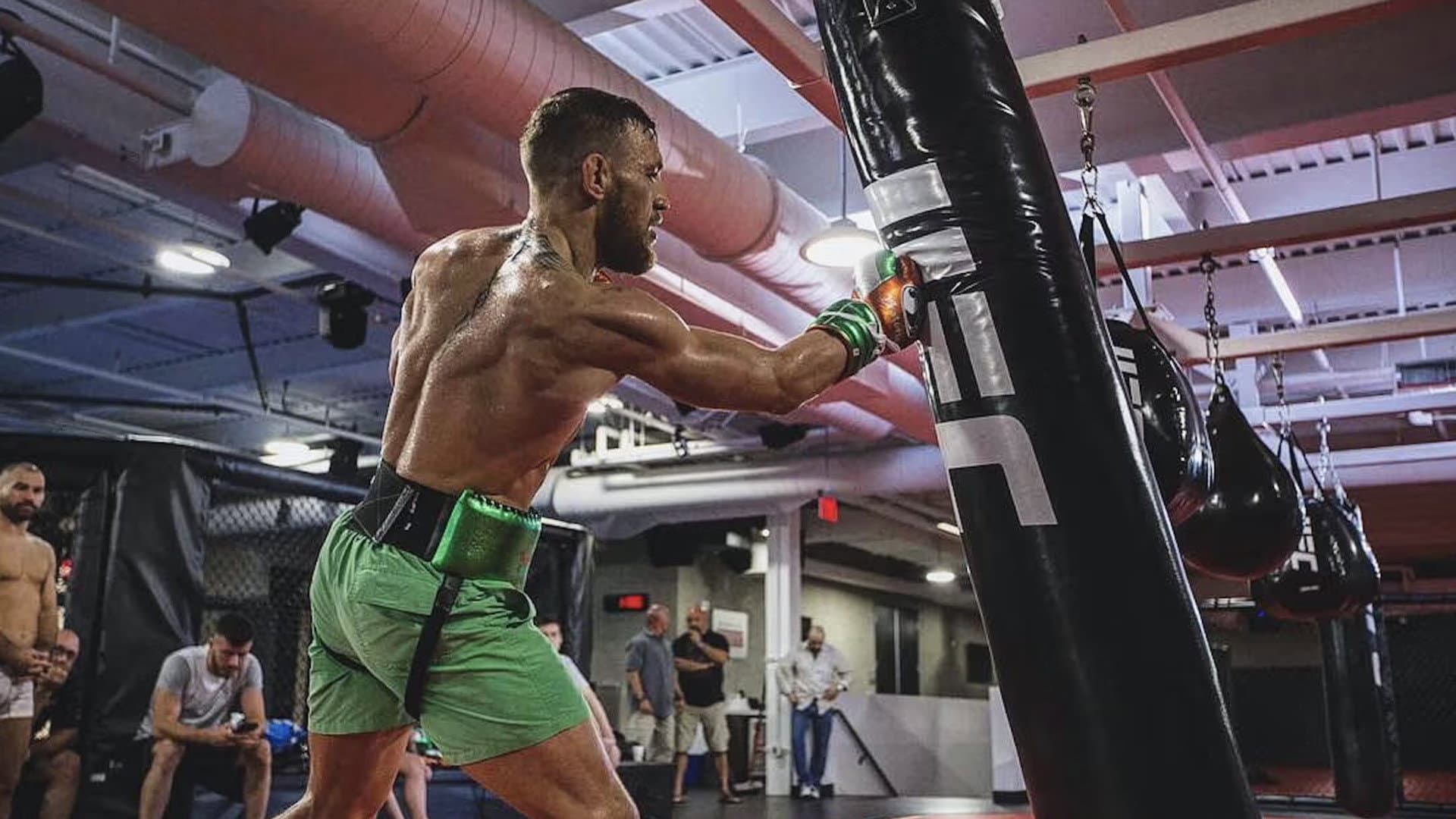 Conor McGregor: Notorious - immagine