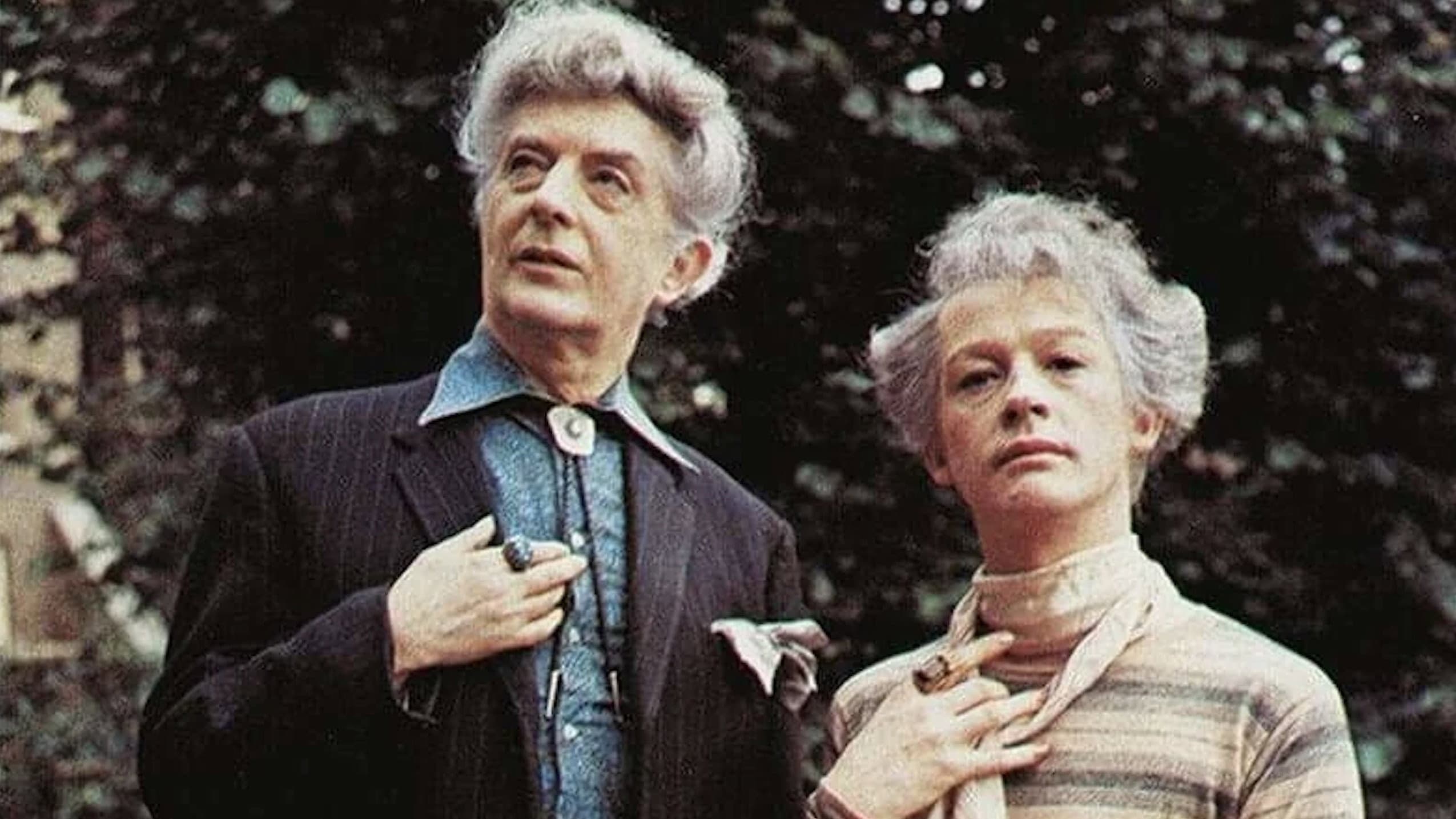 The Naked Civil Servant - immagine