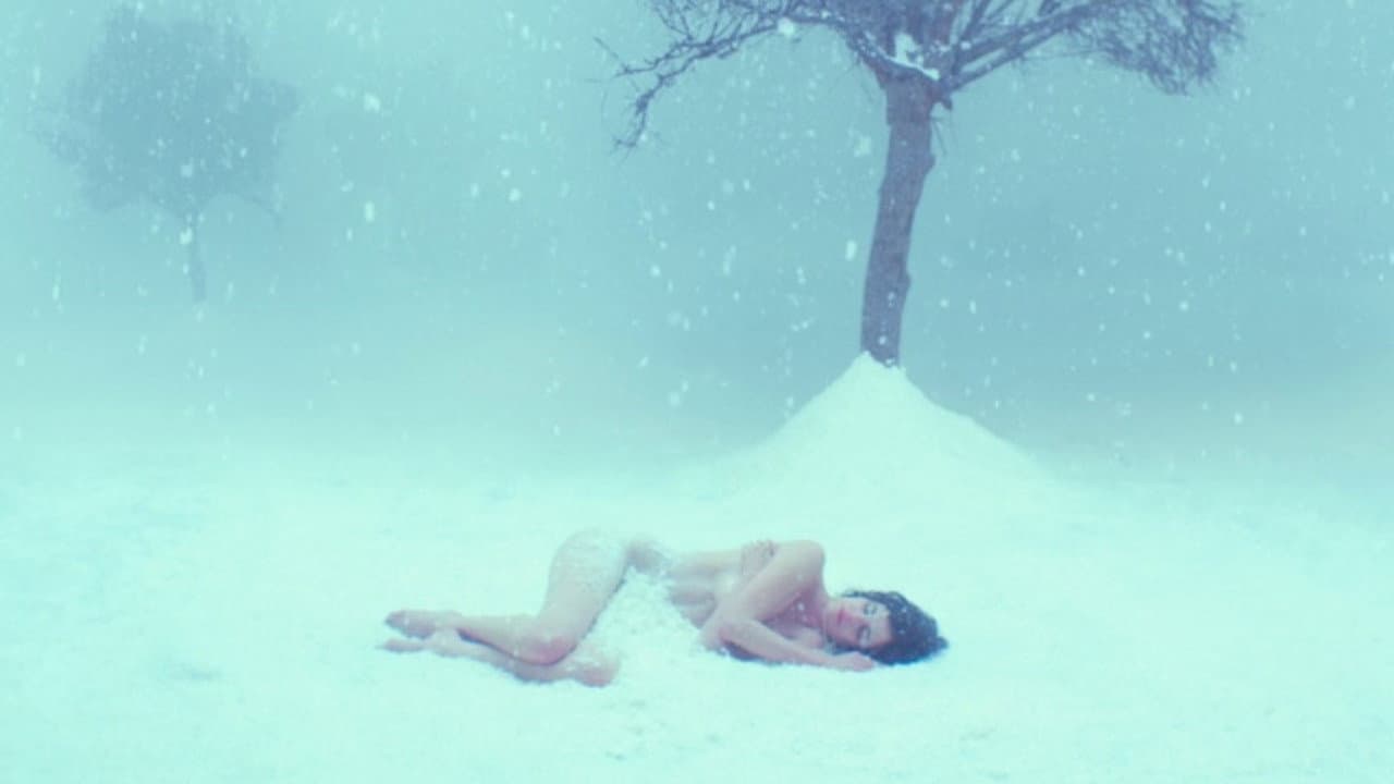 White Bird - immagine